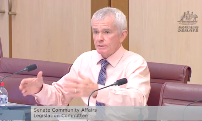 One Nation Senator Malcolm Roberts questions Therapeutic Goods Administration during Senate Estimates in Parliament House, in Canberra, Australia, on April 6, 2022. (Screenshot by The Epoch Times)