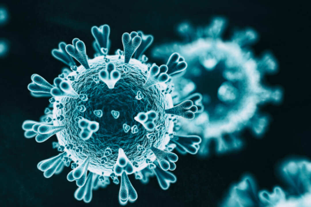 (Benzinga/Courtesy of Sunshine Biopharma)