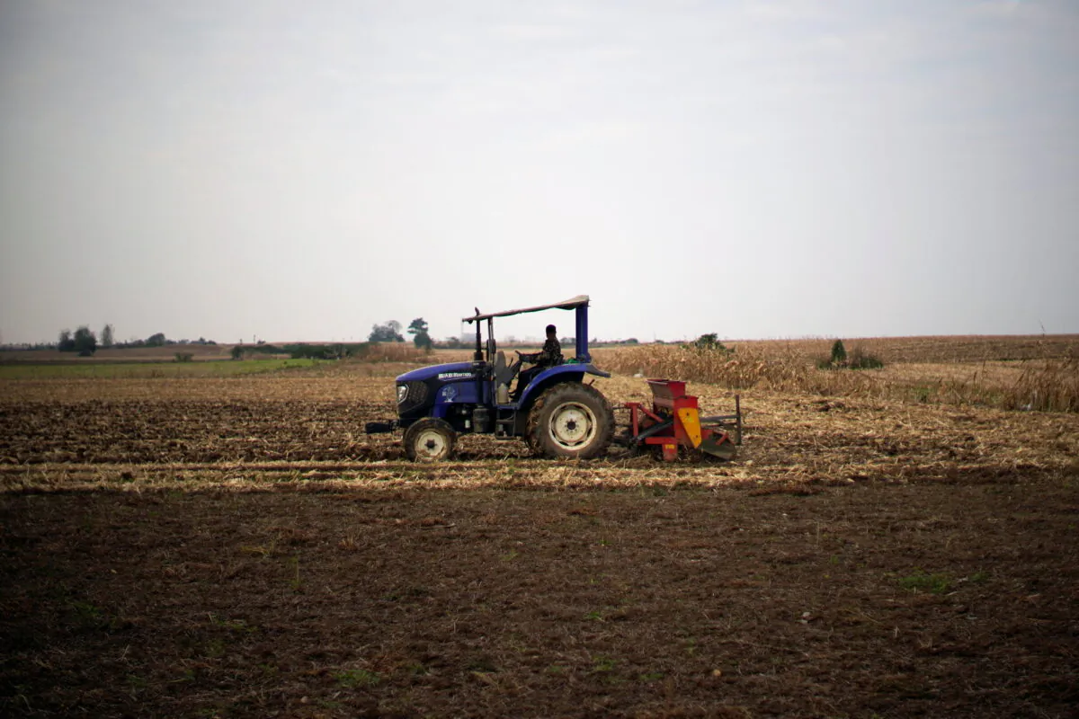 A farmer operates a tractor with a seeder on a wheat field in Nanyang, Henan province, China, on Oct. 13, 2021. (Aly Song/Reuters)