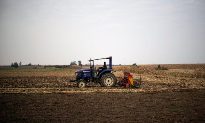 2021 年 10 月 13 日，一名农民在中国河南省南阳市的一片麦田上操作拖拉机和播种机。（Aly Song/路透社）