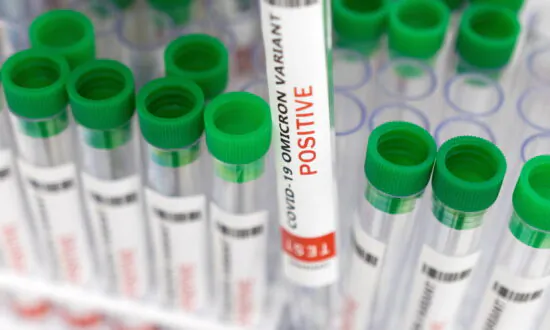 WHO Concerned About the Spread of ‘Most Transmissible’ XBB.1.5 COVID Variant