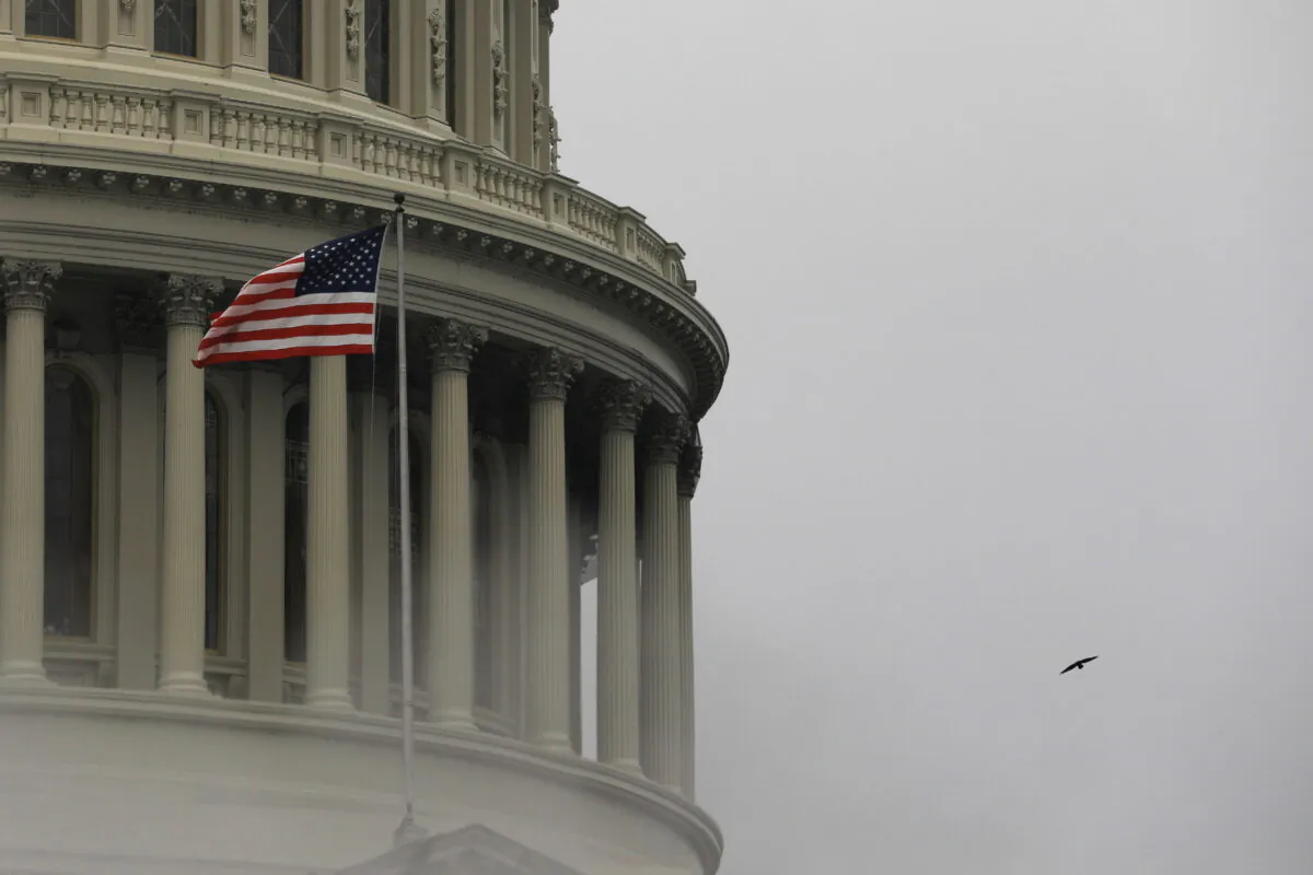 FILE PHOTO: A bird flies by the United States Capitol building in Washington, U.S., March 17, 2022.  REUTERS/Emily Elconin