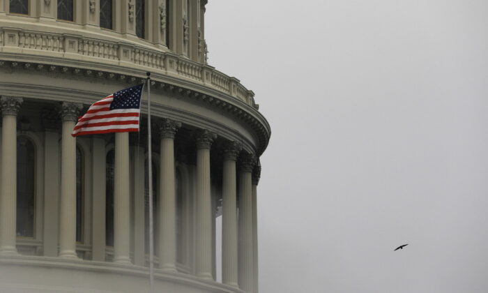 FILE PHOTO: A bird flies by the United States Capitol building in Washington, U.S., March 17, 2022.  REUTERS/Emily Elconin