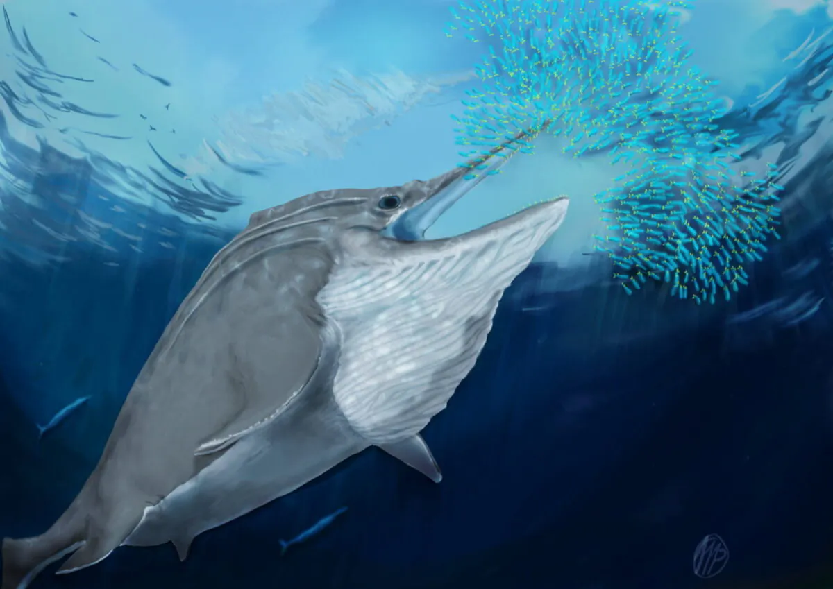 A giant ichthyosaur from the Late Triassic bulk-feeding on a school of squid in an undated artist's photo. (Marcello Perillo/University of Bonn/Handout via Reuters)