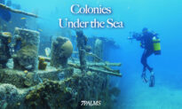 Colonies Under the Sea