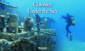 Colonies Under the Sea