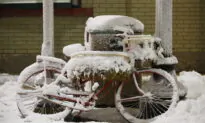 Blizzard Approaching Manitoba Could Be Worst in Decades, Environment Canada Warns