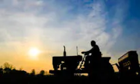 Food Shortages Loom in China as Farmers Face Lockdown Woes