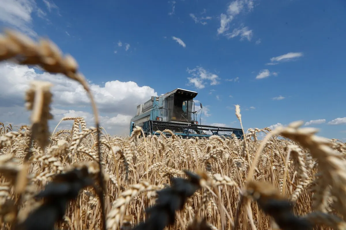 A combine harvester gathers wheat in a field near the village of Hrebeni in Kyiv region, Ukraine, on July 17, 2020. (Valentyn Ogirenko/Reuters)