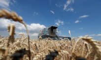 Russia Imposes Ruble Restriction on Countries Buying Wheat and Sunflower Oil