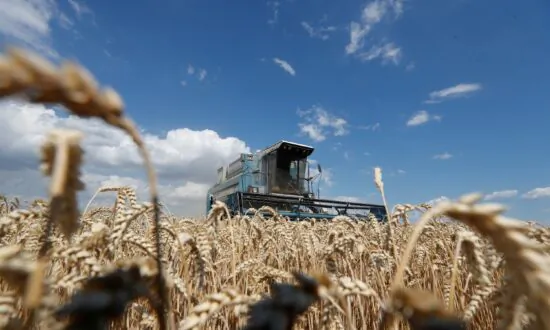 EU Extends Tariff-Free Access for Ukrainian Food Amidst Russian Invasion