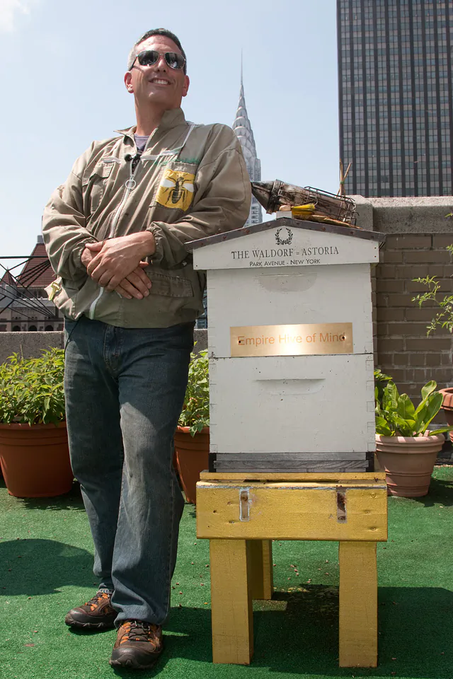 Behive honey harvest at the Waldorf-Astoria, New York USA. (Gabe Kirchheimer)