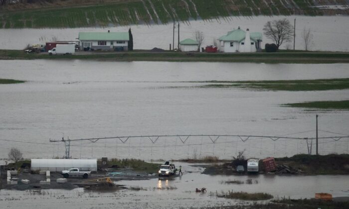 A person stands outside a truck at a greenhouse supply store and nursery surrounded by flooded farmland in Abbotsford, B.C., Dec. 1, 2021. (The Canadian Press/Darryl Dyck)