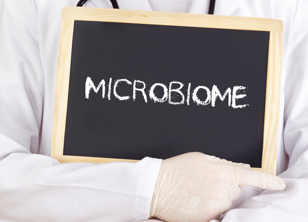 The gut is a critical piece of health and healing. (Shutterstock)
