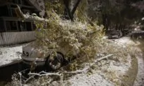 Winter Storm Warnings in Place for Much of Southern Manitoba, Parts of Saskatchewan