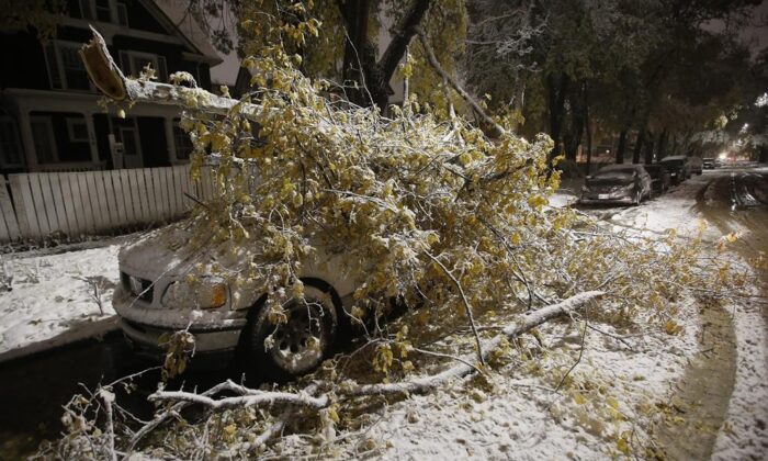 File photo: An early winter storm with heavy wet snow caused fallen trees, many on cars, and power lines in Winnipeg on Oct. 11, 2019. (The Canadian Press/John Woods)