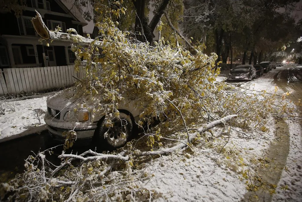 File photo: An early winter storm with heavy wet snow caused fallen trees, many on cars, and power lines in Winnipeg on Oct. 11, 2019. (The Canadian Press/John Woods)