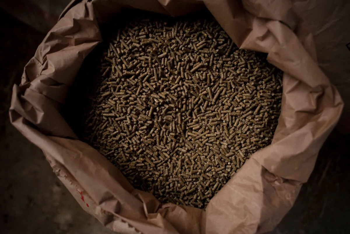 Sacks of wheat grain are seen in a sheep farm in Montejaque, Spain, on March 11, 2022. (Jorge Guerrero/AFP via Getty Images)