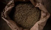 Wheat Closes at the Highest Since Late March on Supply Worries