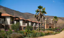 Mexico’s Coastal and Wine Regions Offer Culture, Cuisine That Will Call You Back Again and Again