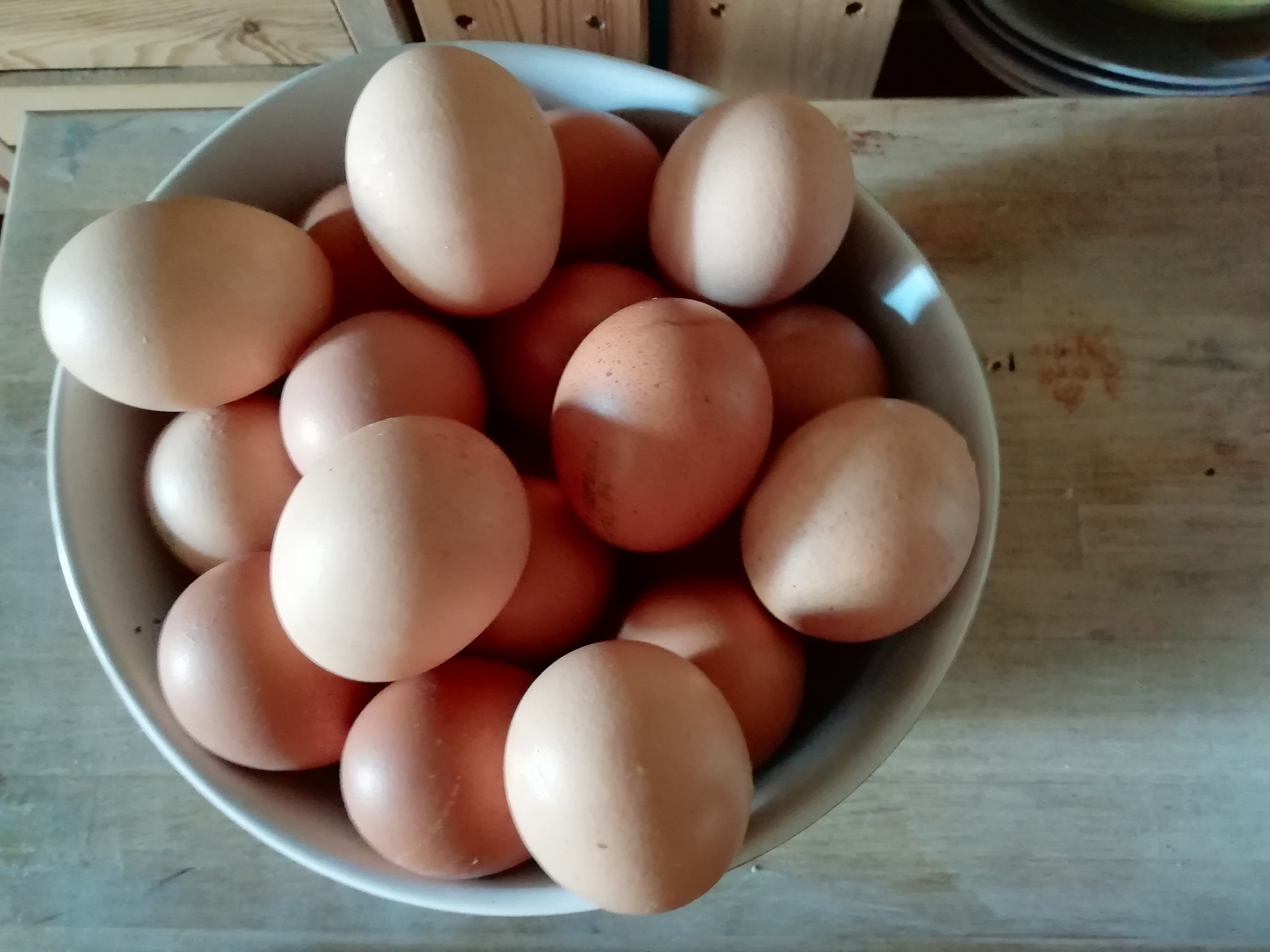 5 Common Egg Cooking Mistakes You May Be Making - Vimarsana News