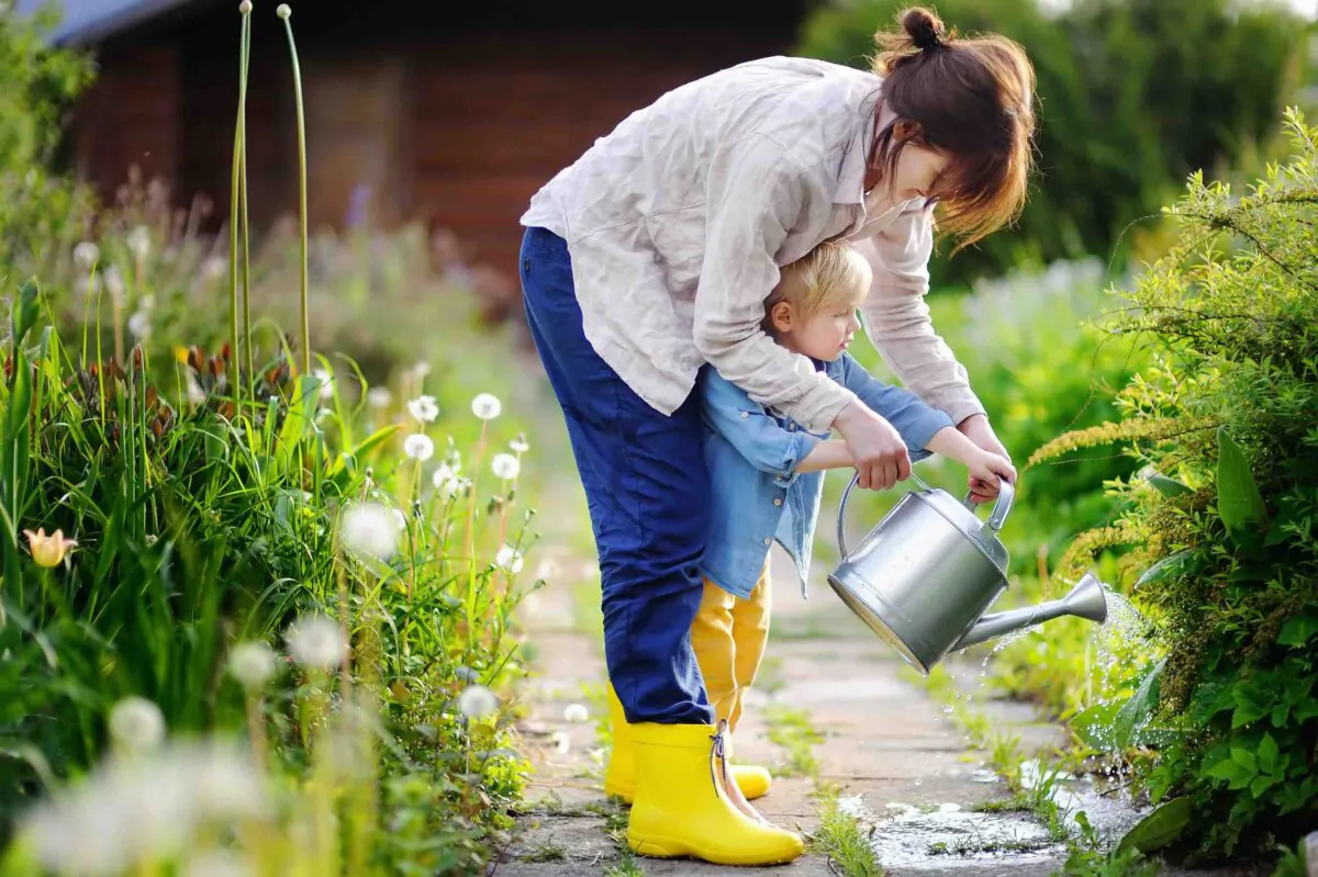 The next time you fertilize, close the spreader door to only allow half as much fertilizer to fall out. Then go over the lawn once.(Maria Sbytova/Shutterstock)