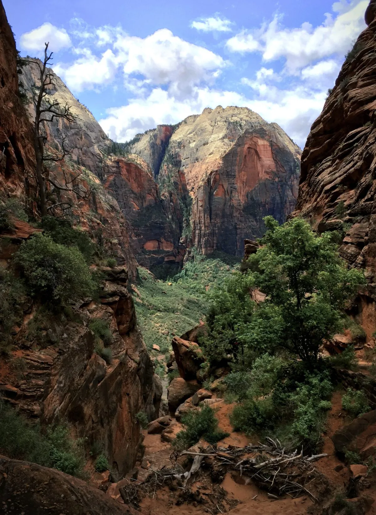 Mountain of the Sun, as viewed from a hallway of the West Rim Trail in Zion National Park. (Jeff Perkin)