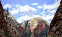 Zion National Park, Full of Formidable Landscapes Borne of Nature’s Dramatic Forces