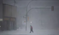 Winter Storm, Blizzard Warnings Remain in Effect Across Southern Manitoba