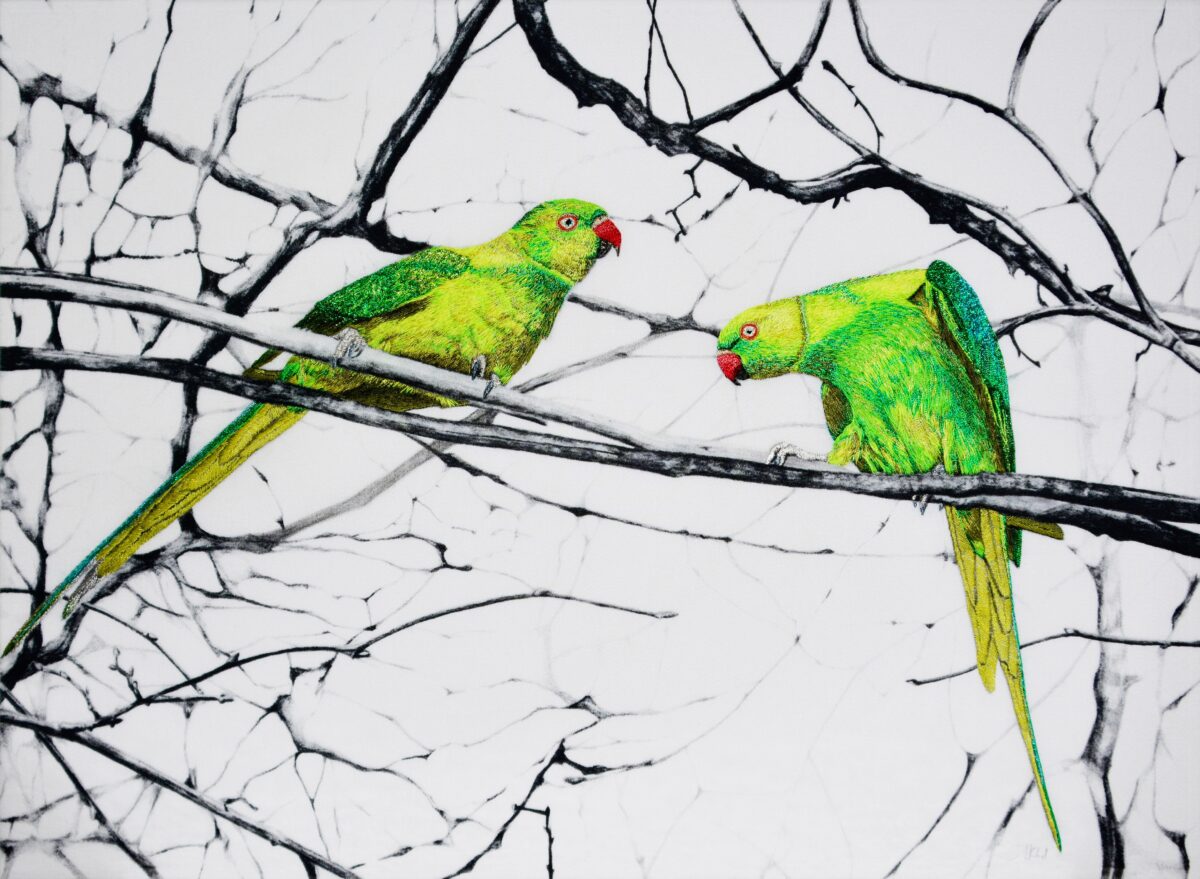 "Hyde Park Parakeets," 2021, by Susannah Weiland. Pencil drawing printed onto cotton-silk fabric and hand embroidered with matte, silk, and metallic fine machine embroidery threads. Framed: 18.1 inches by 13.4 inches. (Susannah Weiland)
