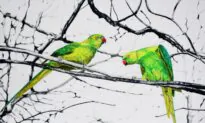 Patiently ‘Painting’ With Thread