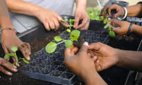 Meet an Alabama Farm That is Partnering with Local Schools to Make Learning Fun