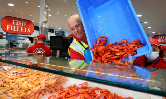 Sydney Council Tells Residents to Freeze Christmas Food Scraps Before Bin Day