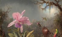 This 19th-Century American Painter Journeyed Deep into the Brazilian Jungle to Capture the Essence of Delicate Hummingbirds