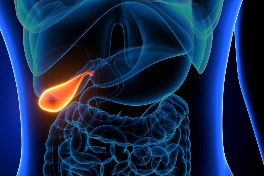 By MicroScience/Shutterstock