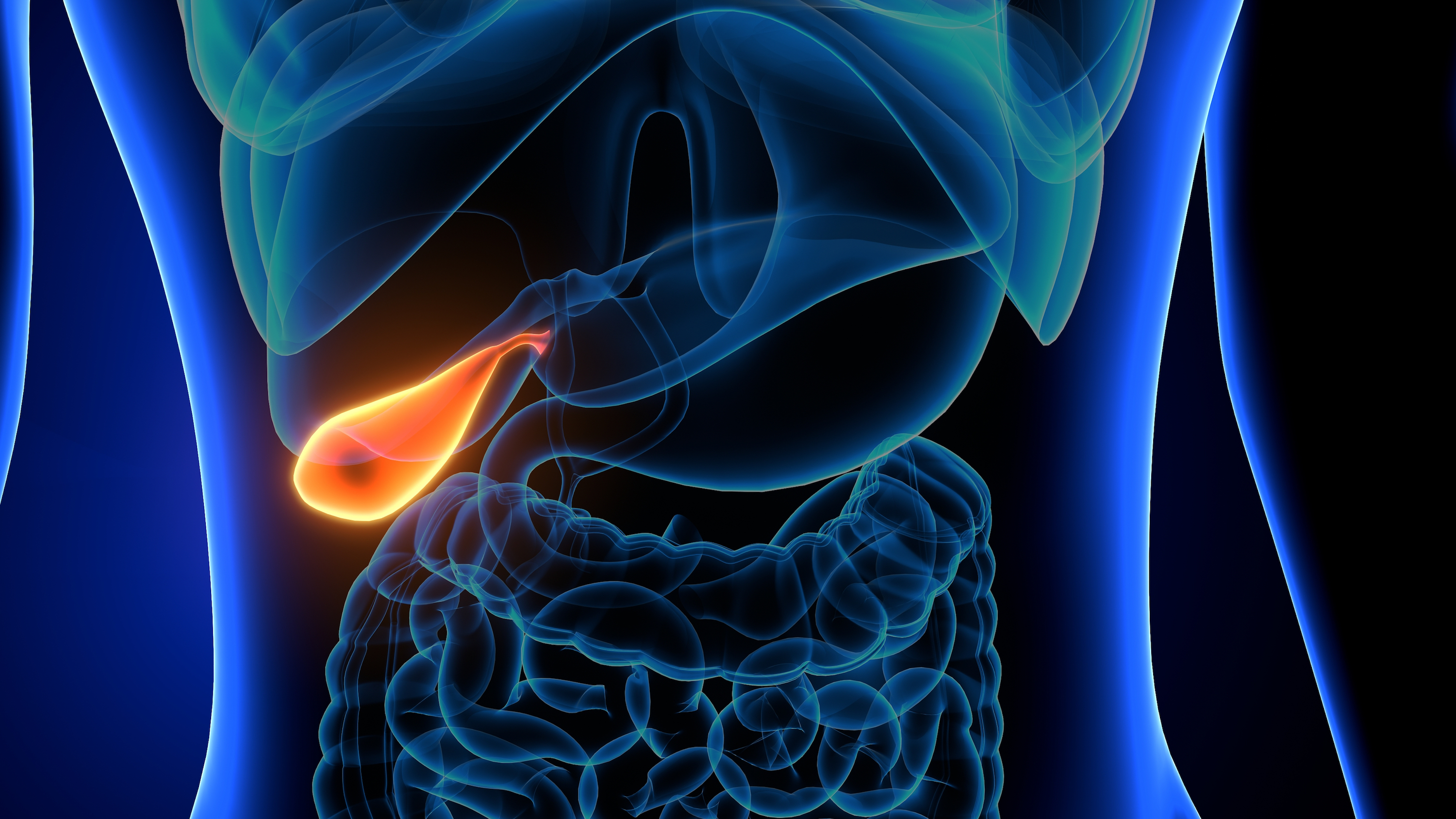 Is Your Gallbladder Healthy? 10 Signs It May Not Be, and What to Do About It - Vimarsana News