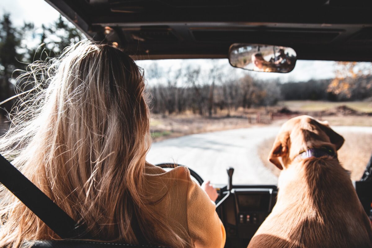 In addition to choosing an exciting destination, picking your travel companions can be a great part of planning for your trip. (Toni Tan/Unsplash)