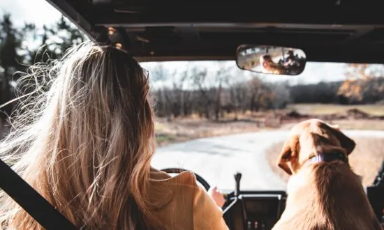 Hit the Road: The Fun of Road Trips