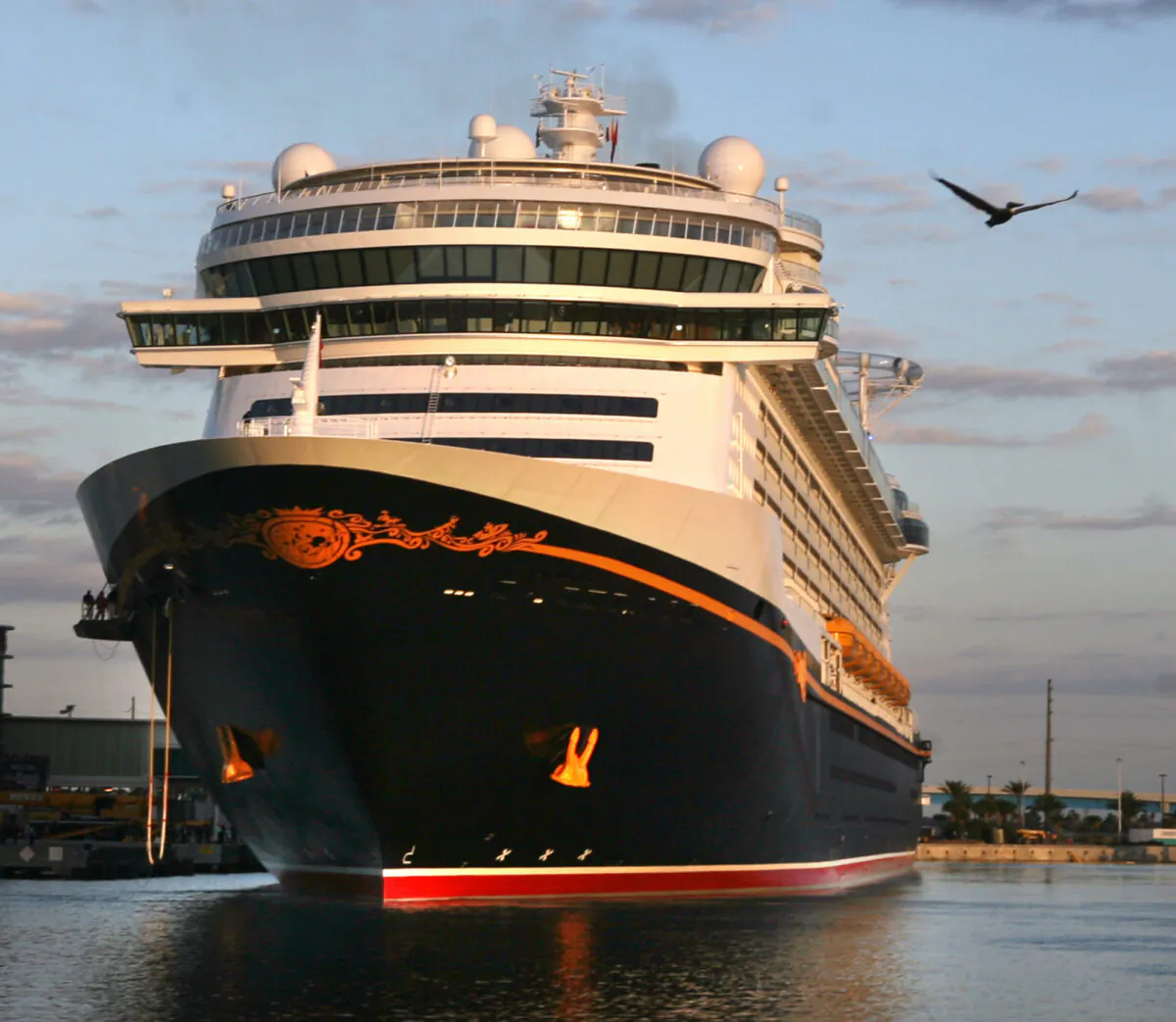 The Disney cruise ship Fantasy arrives at Port Canaveral, Florida, on March 7, 2012. (Joe Burbank/Orlando Sentinel/TNS)