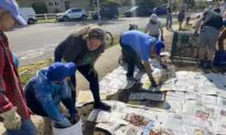 Burbank Sees Gardening Wave Amid Record Inflation, Pandemic