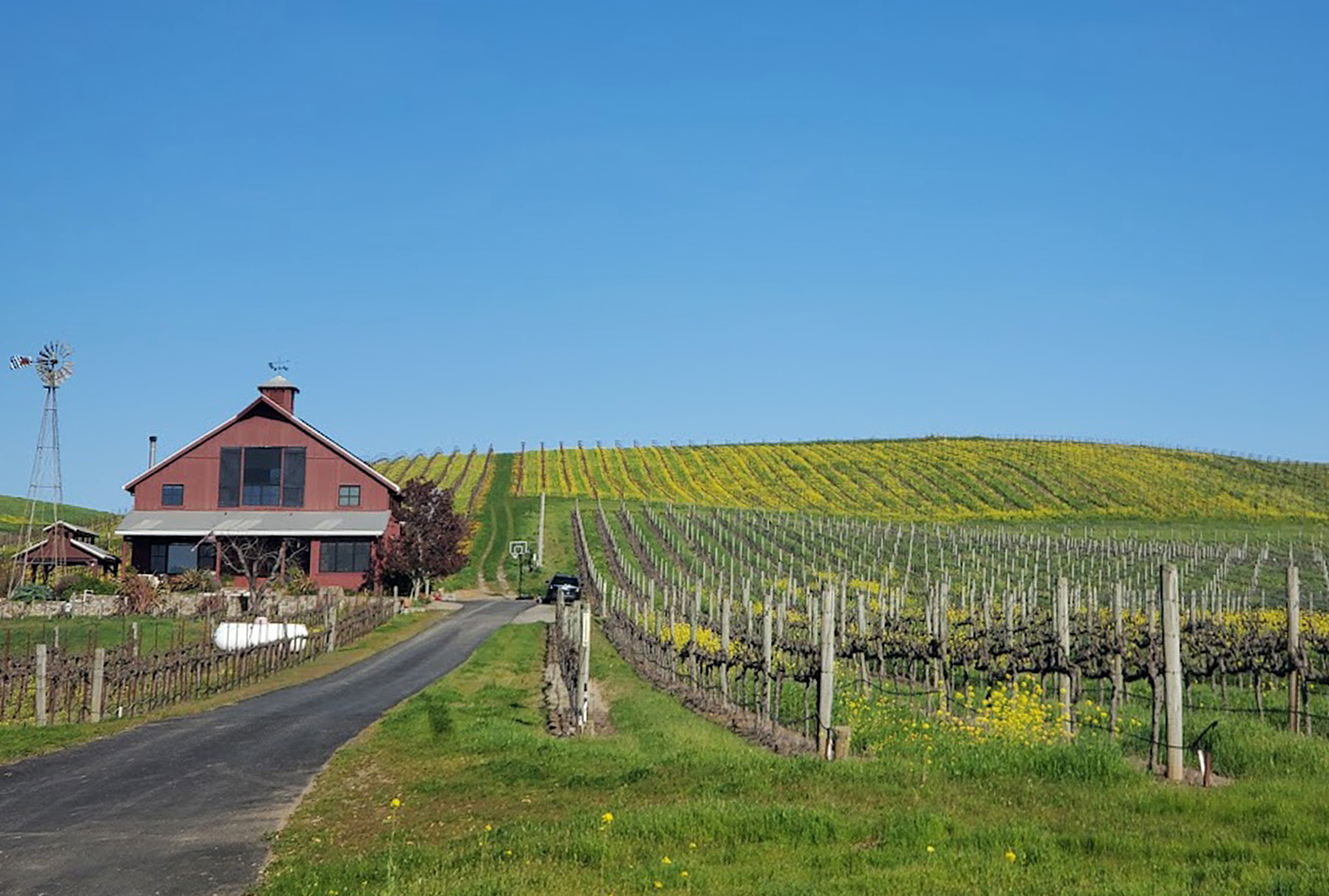 A roadside view during a "wine safari" tour