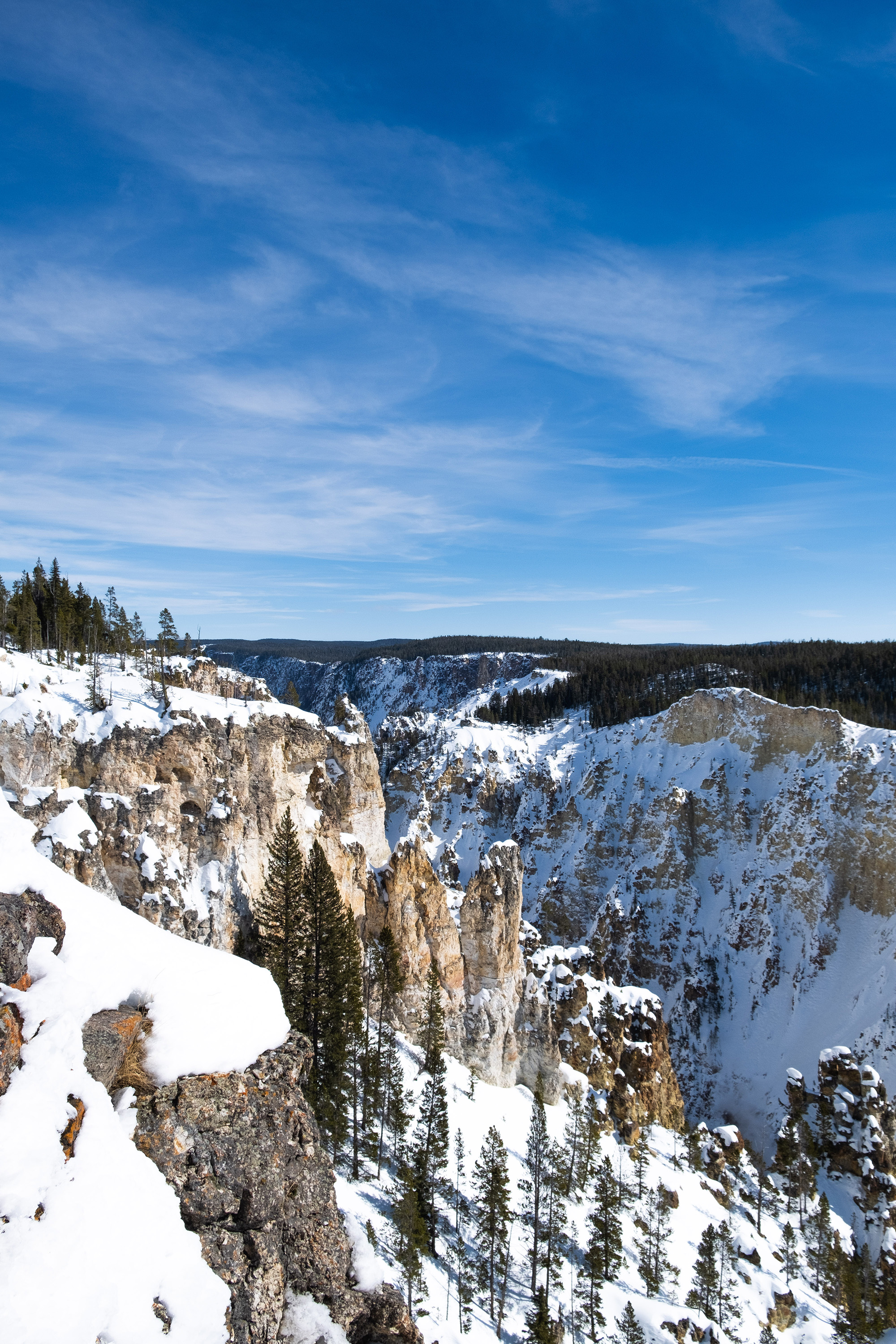 The Grand Canyon of Yellowstone.