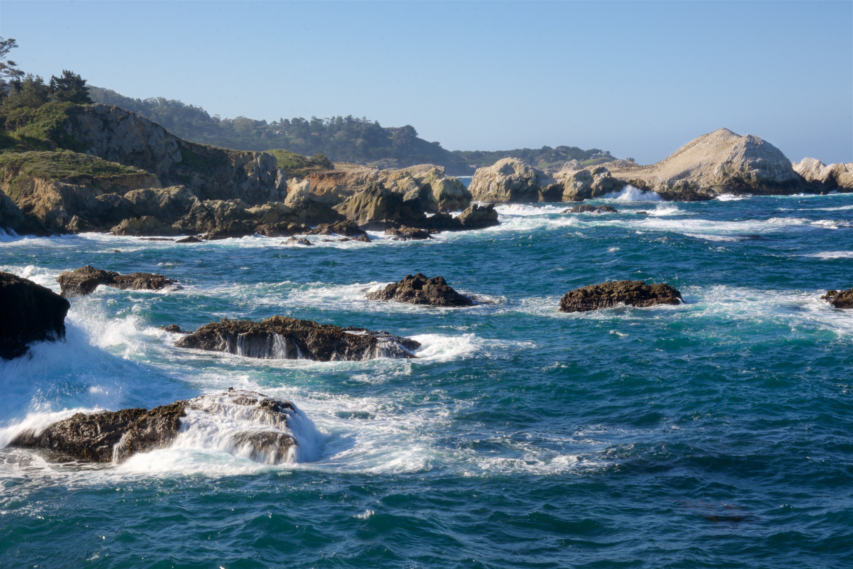 The Fascinating History of Point Lobos, Calif. - Vimarsana News