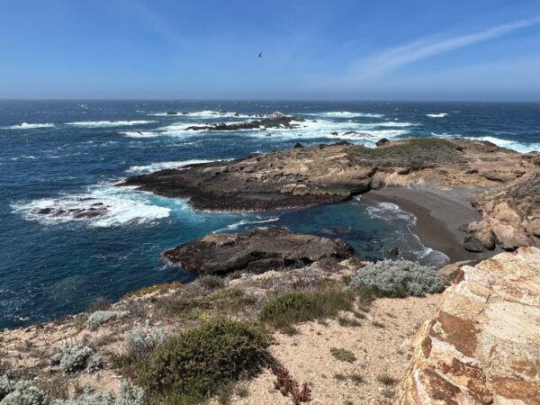Point Lobos