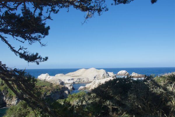 Point Lobos