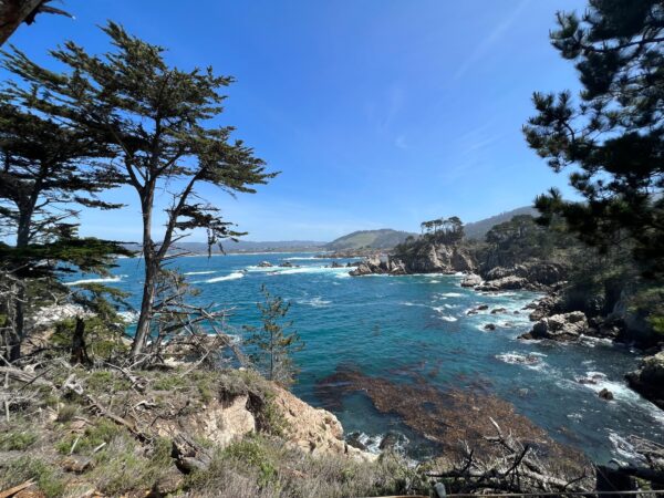 Point Lobos