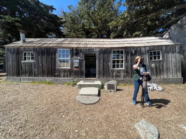 Point Lobos