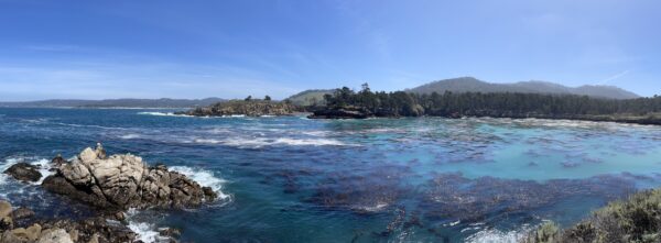 Point Lobos