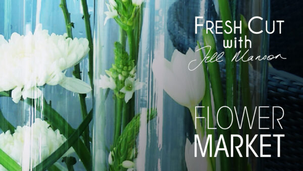 Flower Market | Fresh Cut