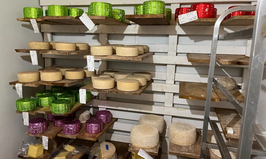 Lifestyle: A North Carolina Artist Had a Dream of Making Cheeses the Old World Way, Like His Italian Father—So He Built a Cave in the Mountains to Do It